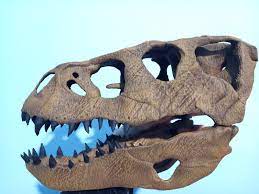 Indoraptor skull