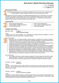 Write the perfect resume with help from our resume examples for students and professionals. Example Of A Good Cv 13 Winning Cvs Get Noticed In 2020