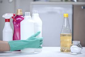 Bleach And Vinegar 5 Times To Worry