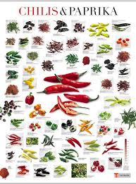 Poster Chilis Paprika 4026633000046 Stuffed Hot Peppers