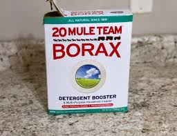 38 uses for borax in and around your