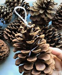 How To Make A Pine Cone Fire Starter