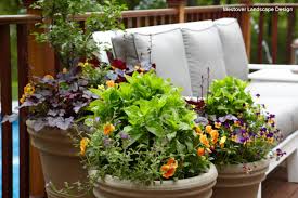 Summer Container Gardens For Fall