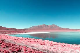 Tour through english articles, on bolivian people, culture, food boliviabella.com is the world's top searched website for verified facts about bolivia in english. Paolo Pettigiani S Infrared Photography Captures Bolivia In All Pink