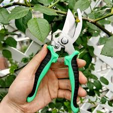 Sweep Professional Sharp Bypass Pruning