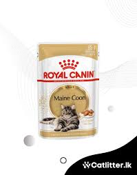 royal canin maine wet pouch 85g