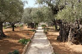 two gardens eden and gethsemane