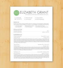 Creative Resume Templates   Secure the Job Resumeshoppe               Business Analyst Purchasing And Supply Chain Systems Resume samples