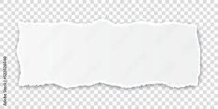 vector white colored torn paper banner
