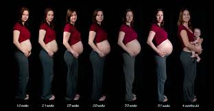 40 Correct Month By Month Belly Growth During Pregnancy