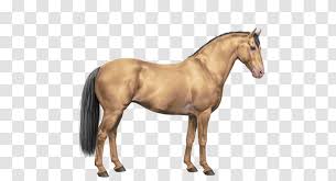 All untouched, all starting at $25. Mustang Mane Stallion Foal Sabino Horse Buckskin Painted Transparent Png