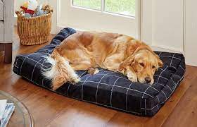 12 Very Best Dog Beds 2023 The Strategist