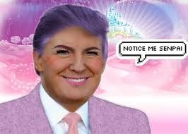 donald trump in kawaii makeup and