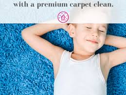 your carpet steam cleaned