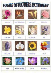 flowers pictionary esl worksheet