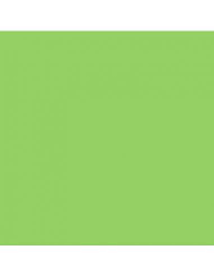 pistachio green paint for walls and facades