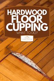 hardwood floor cupping what to do