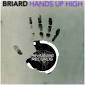 Briard - Hands Up High (Original Mix)