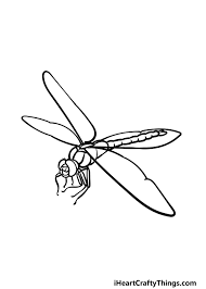 dragonfly drawing how to draw a