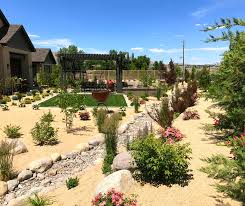 Xeriscaping In Northern Nevada Reno
