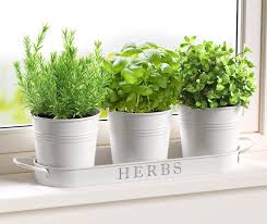 15 planters and flower pots