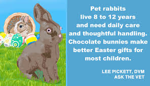 They're highly sensitive and require lots of care. Ask The Vet Bunnies Aren T Good Starter Pets