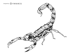 Scorpion tattoos are one of the most interesting style choices! Scorpion Graphics To Download