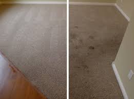 professional carpet tile cleaning