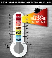 bed bug heat treatment