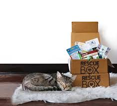 Hello there cat mums (and cat dads)! The Best Cat Subscription Boxes As Voted By Our Readers Msa