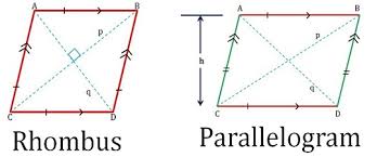 Difference Between Rhombus And Parallelogram With