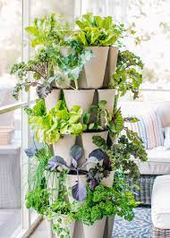 Herb Garden Ideas Fun And Functional