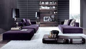 a purple sofa to your living room