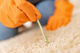carpets saniclean dry carpet cleaning