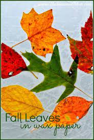 Fall Leaves In Wax Paper The Seasoned Mom