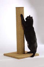 purrfect scratching post can save