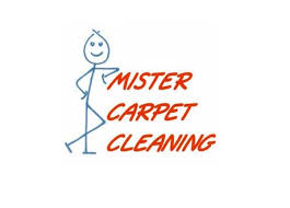 mister carpet cleaner florida carpet