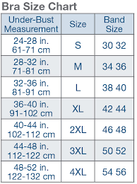 Standard Scale And International Variances Of Bra Sizes And
