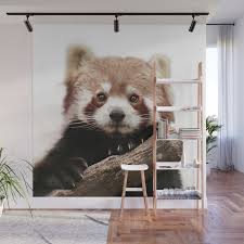 Red Panda Wall Mural By Monika Strigel
