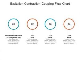 excitation contraction coupling flow