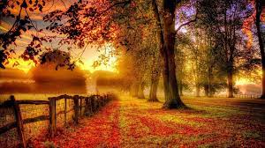 1000 autumn wallpapers wallpapers com