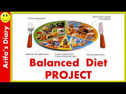 Balanced Diet Project Healthy Eating Habits Nutrition
