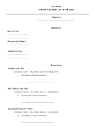 Fill In The Blank Resume Pdf Awesome Blank Resume Forms Resume Form
