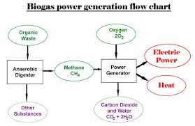 Biogas Power Generation Flowchart Steam Boiler Waste To