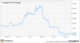Why Trivago N V Stock Lost 42 Last Year The Motley Fool