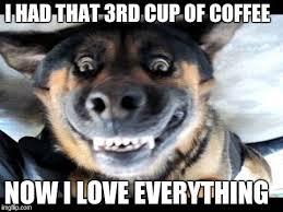 Image result for dog and caffeine meme