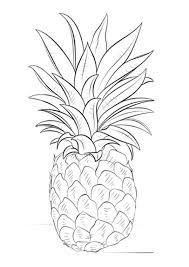 230x230 best pineapple coloring pages for toddlers. Coloring Pages Printable Pineapple Coloring Page