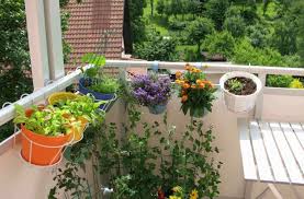 Terrace Garden Design Ideas
