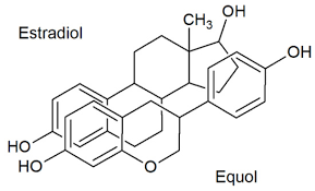 Molecules Free Full Text Isoflavones