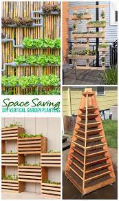 Diy Vertical Gardens For Small Spaces